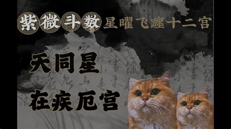 疾厄宮天府|紫微斗數【天府星入疾厄宮】解析